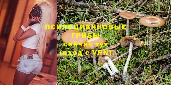 мдпв Дмитриев