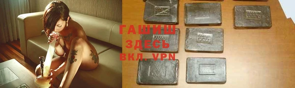 мдпв Дмитриев