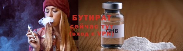 мдпв Дмитриев