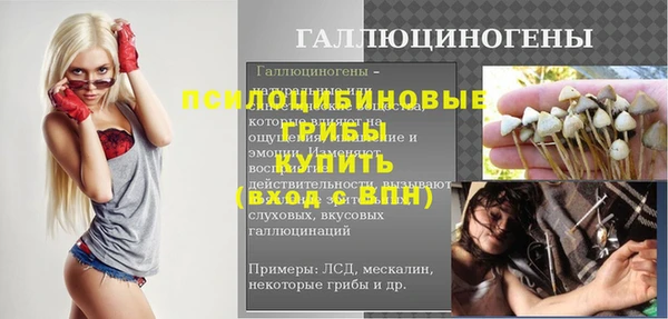 мдпв Дмитриев