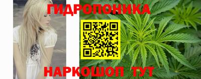а пвп мука Дубна