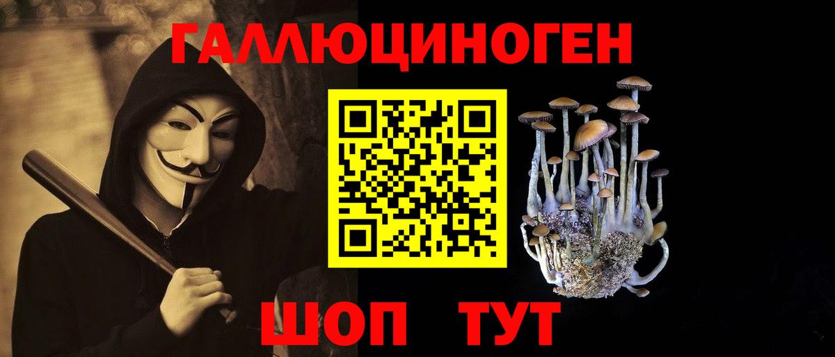 закладки  Вход с VPN  Похвистнево  Псилоцибиновые грибы мицелий  Галлюциногенные грибы Psilocybine cubensis 